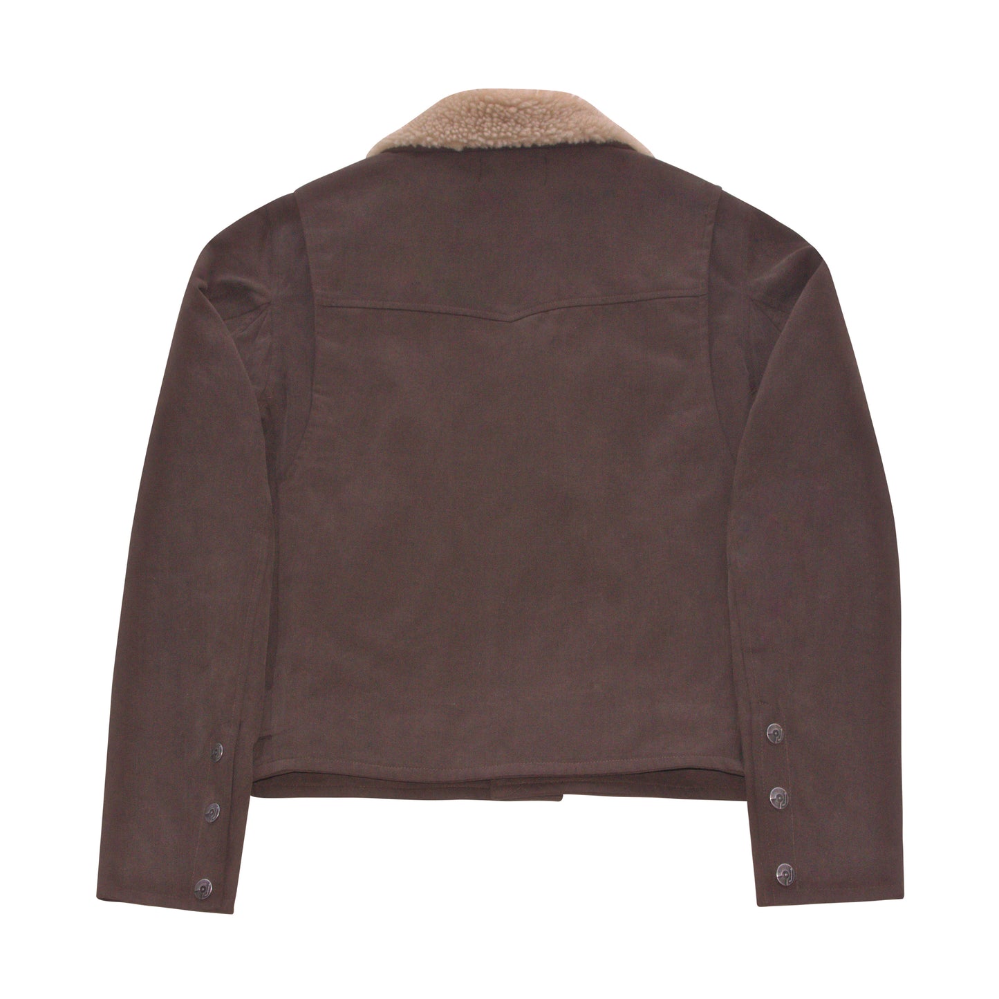 DYLAN RIDER JACKET